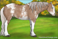 Horse Color:White Spotted Silver Bay Dun Splash Tobiano