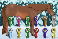 Horse Color:Chestnut Rabicano 