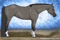 Horse Color:Grullo Roan Tobiano