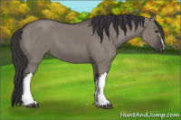 Horse Color:Smoky Grullo