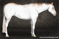 Horse Color:Gray White Spotted Silver Amber Champagne Frame 