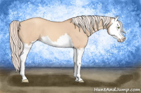 Horse Color:Silver Amber Champagne Dun Splash 