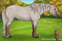 Horse Color:Silver Grullo Roan 