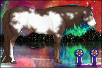 Horse Color:Gray Liver Chestnut Frame 
