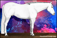 Horse Color:Silver Bay Ice Roan Pearl Dun Sabino Appaloosa 