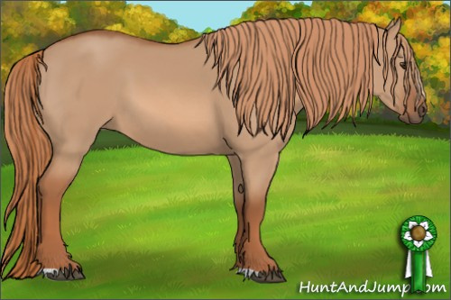 Horse Color: Red Dun 