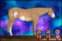 Horse Color:Chestnut Frame 