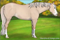 Horse Color:Silver Classic Champagne Dun Splash