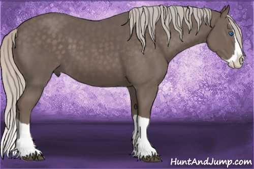 Horse Color: Silver Black Splash 