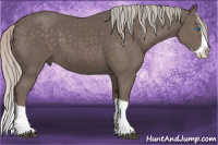 Horse Color:Silver Black Splash 