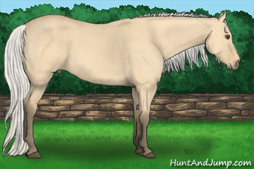 Horse Color: Silver Buckskin Dun 