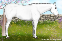 Horse Color:Blue Roan Varnish 