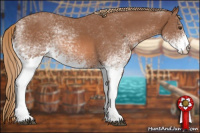 Horse Color:White Spotted Chestnut 