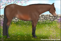 Horse Color:Bay Frame