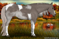 Horse Color:Silver Black Sabino Tobiano 