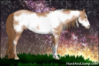 Horse Color:Bay Pearl Frame Rabicano 