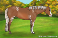 Horse Color:White Spotted Silver Bay Sabino Splash 