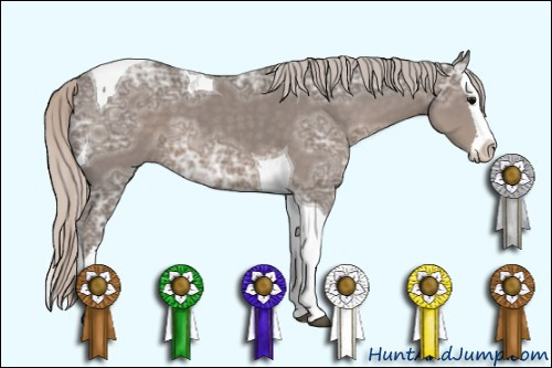 Horse Color: Silver Black Ice Splash Tobiano 