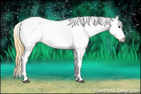 Horse Color:Smoky Blue Roan Appaloosa 