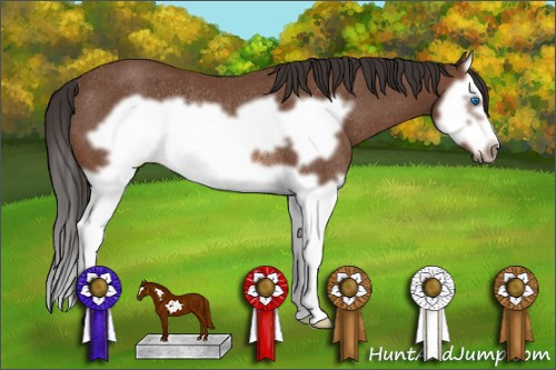 Horse Color: Bay Splash Frame Rabicano 