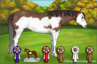 Horse Color:Bay Splash Frame Rabicano 