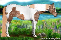 Horse Color:Chestnut Ice Tobiano 