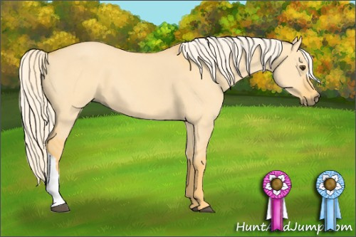 Horse Color: Palomino Dun 