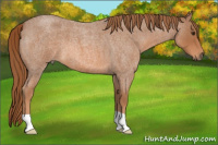 Horse Color:Red Roan 