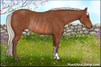 Horse Color:Silver Bay Rabicano 
