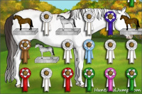 Horse Color:White Spotted Bay Splash Rabicano