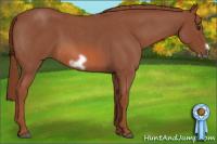 Horse Color:Liver Red Roan Frame 