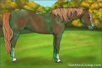 Horse Color:Gray Chestnut Splash Tobiano