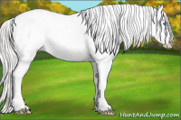 Horse Color:Cremello Blanket 