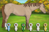 Horse Color:Gray Smoky Creme Dun 