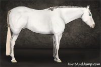 Horse Color:Perlino Roan Dun 