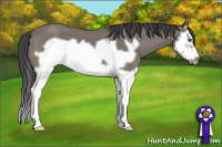 Horse Color:Blue Roan Splash Frame 