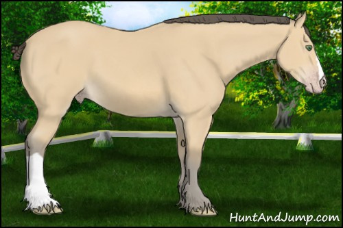 Horse Color: Amber Cream Champagne 