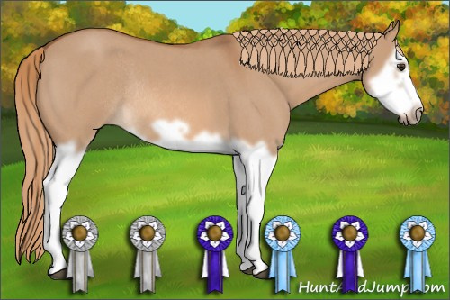 Horse Color: Red Dun Roan Splash Frame Rabicano 