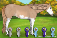 Horse Color:Red Dun Roan Splash Frame Rabicano