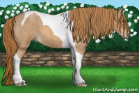 Horse Color:Red Roan Tobiano 