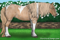 Horse Color:Red Roan Tobiano 