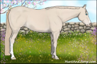 Horse Color:Smoky Creme 