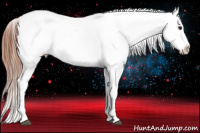 Horse Color:White Spotted Bay Frame Appaloosa