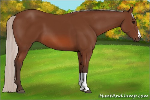 Horse Color: Silver Bay 