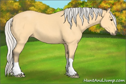 Horse Color: Silver Buckskin 