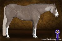Horse Color:Silver Black Sabino 