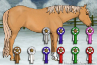 Horse Color:Chocolate Palomino Roan