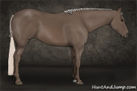 Horse Color:Silver Black 
