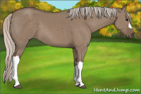 Horse Color:Silver Grullo