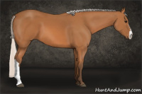 Horse Color:Silver Bay 